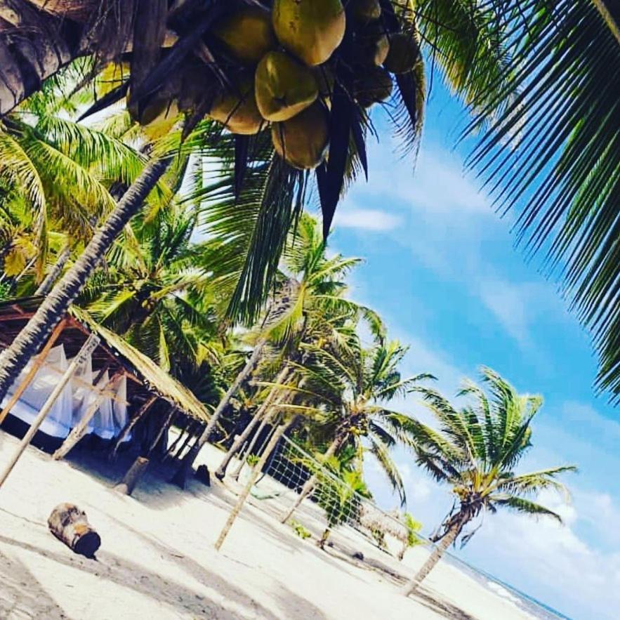 مبيت وإفطار الزينو Camping Castilletes Parque Tayrona المظهر الخارجي الصورة