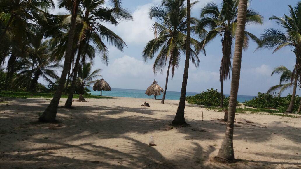 مبيت وإفطار الزينو Camping Castilletes Parque Tayrona المظهر الخارجي الصورة